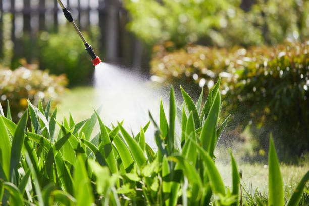24/7 Emergency Mosquito Control experts in Tucson Estates, AZ
