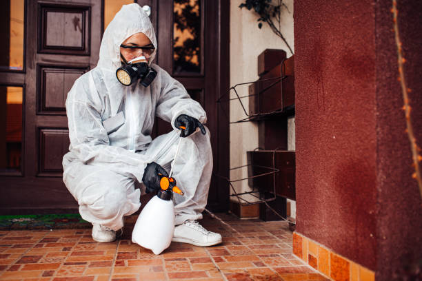 Reliable Mosquito Control contractor in Tucson Estates, AZ by Show Me Pest Control